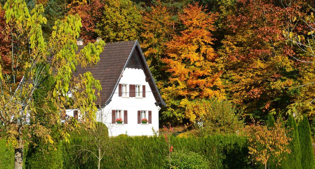 Le Gite De L'Ecureuil Sturzelbronn Eksteriør bilde