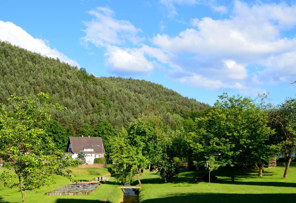 Le Gite De L'Ecureuil Sturzelbronn Eksteriør bilde