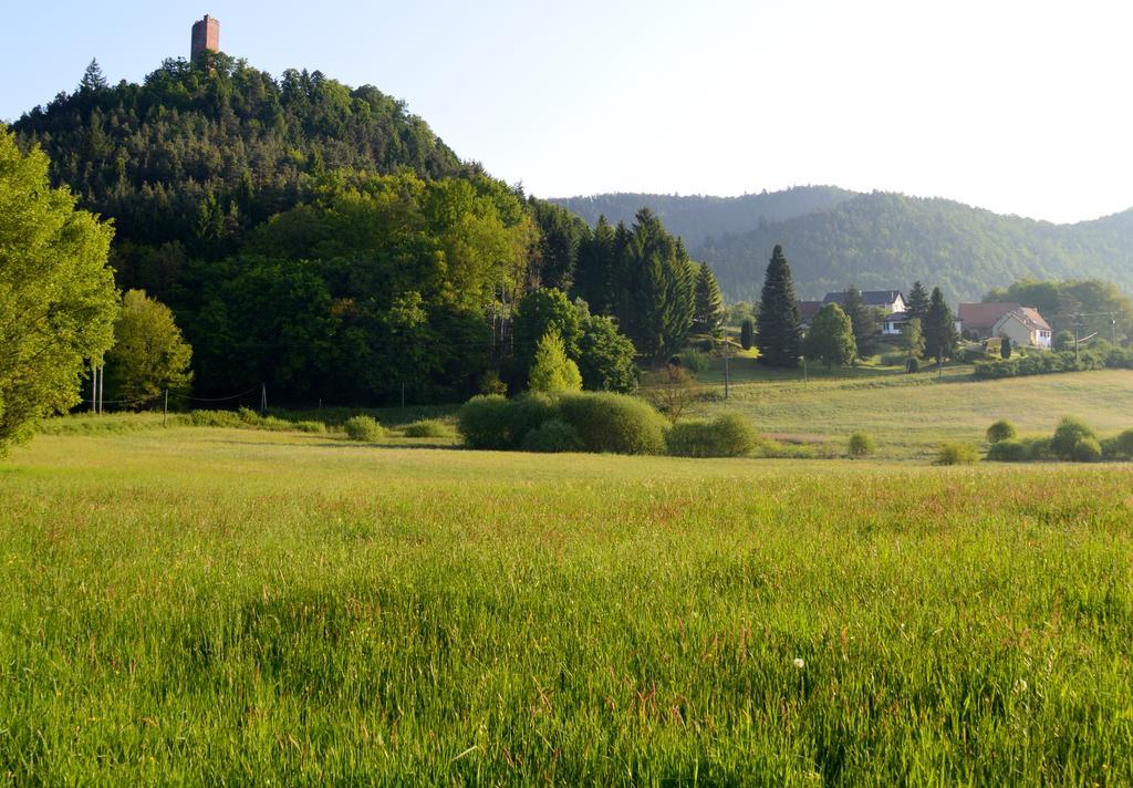 Le Gite De L'Ecureuil Sturzelbronn Eksteriør bilde